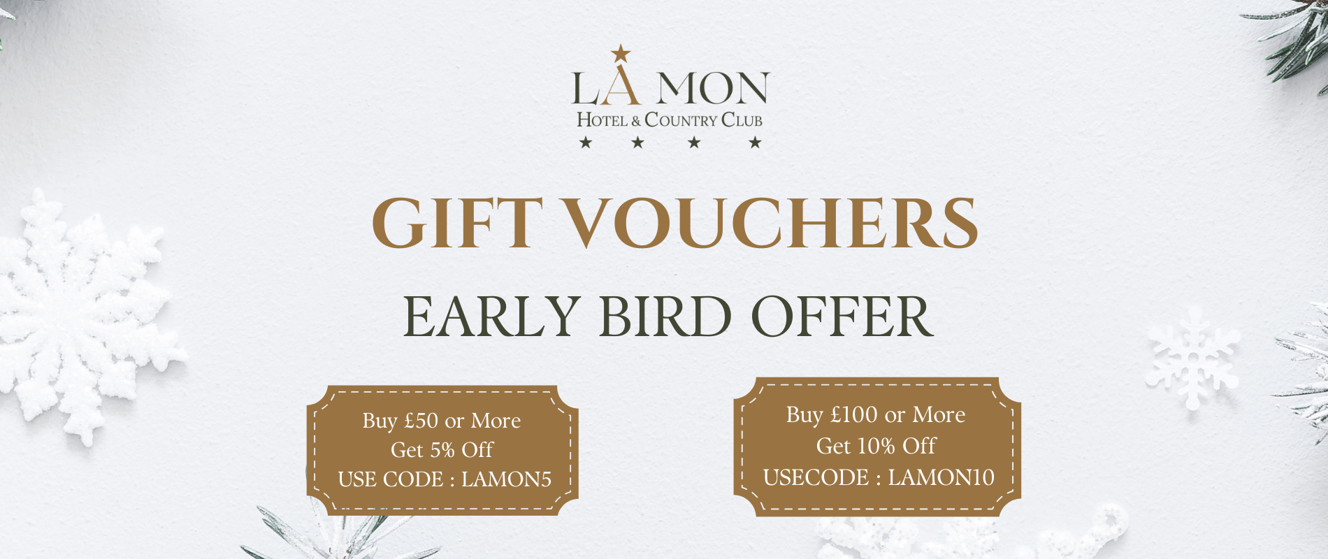 Web Banner - Gift Voucher (1)